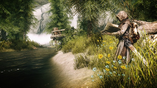 Illustration for article titled How To Get Skyrim Looking As Awesome As Computationally Possible